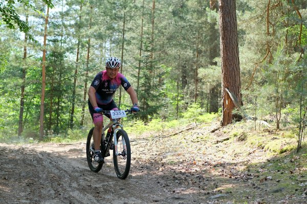 Rétrospective des affiches de la Coupe de Basketball